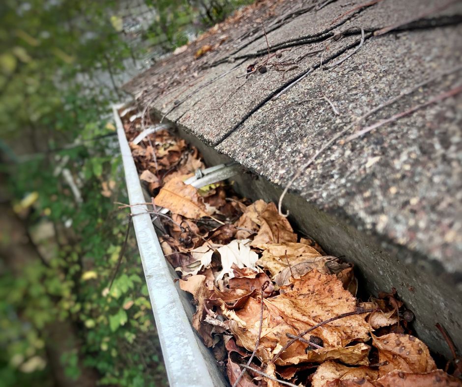 gutters full of dead autumn leaves